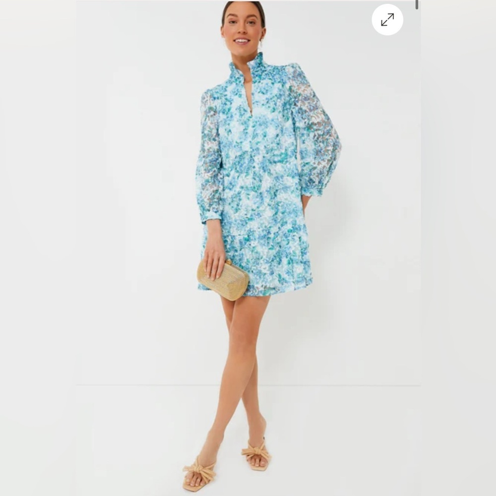 Tuckernuck Blue and White Floral Mini Dress